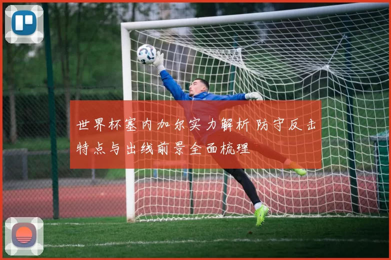 世界杯塞内加尔实力解析 防守反击特点与出线前景全面梳理