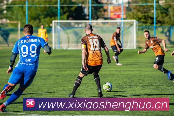 米兰网页版·官方端在线 - 米兰MiLan(中国)平台生态图