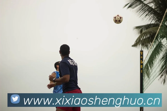 米兰网页版·官方端在线 - 米兰MiLan(中国)APP 封面图