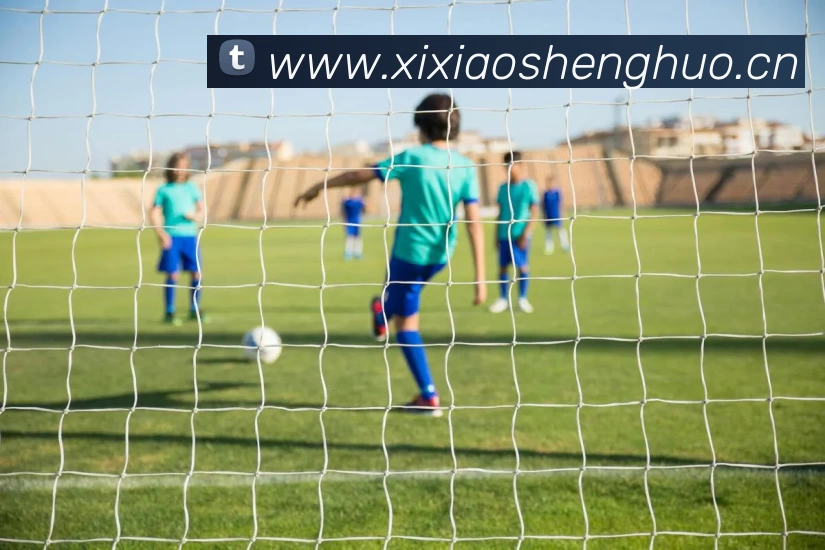 数据防护可视化